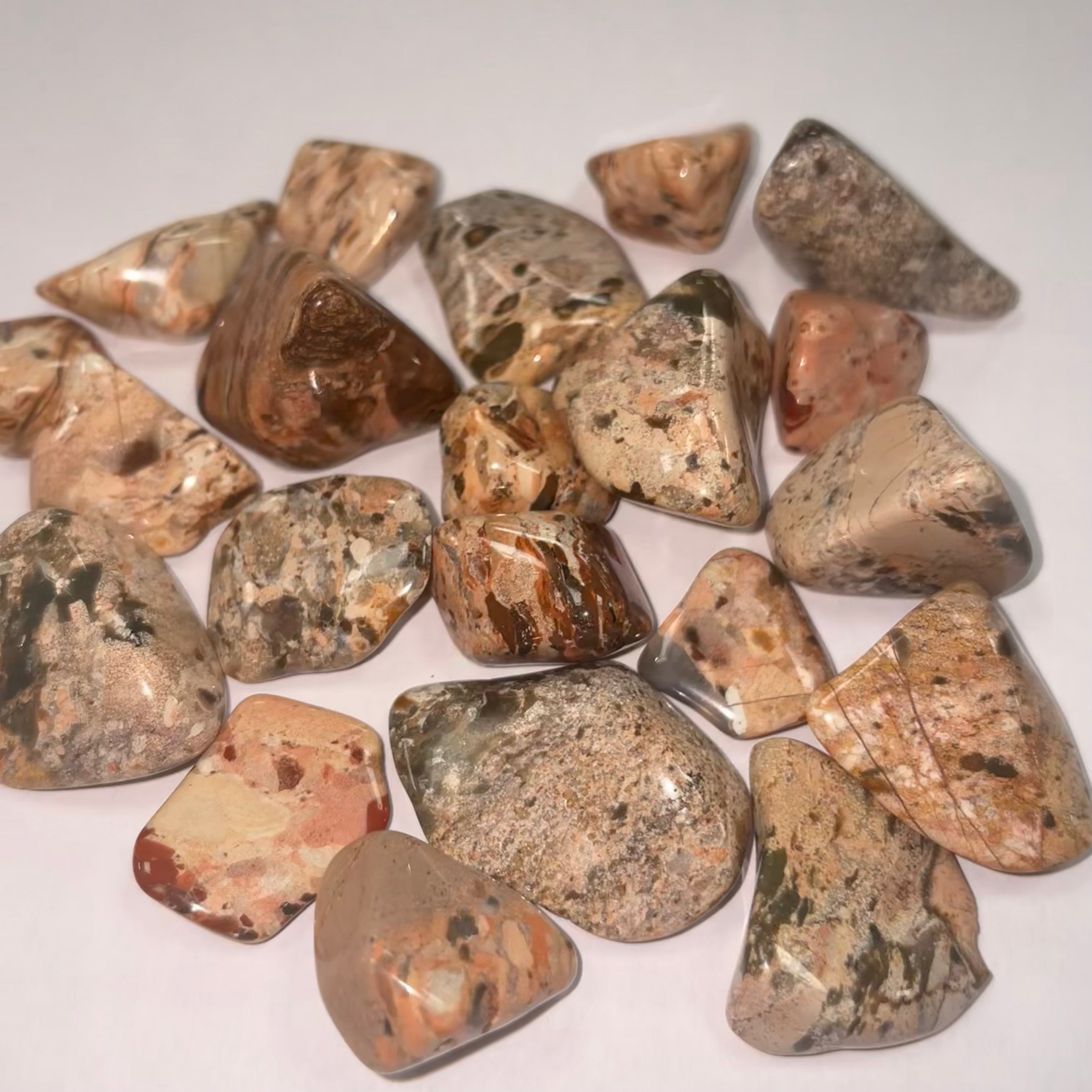 White Brecciated Jasper TS