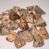 White Brecciated Jasper TS