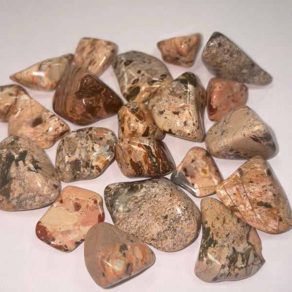 White Brecciated Jasper TS
