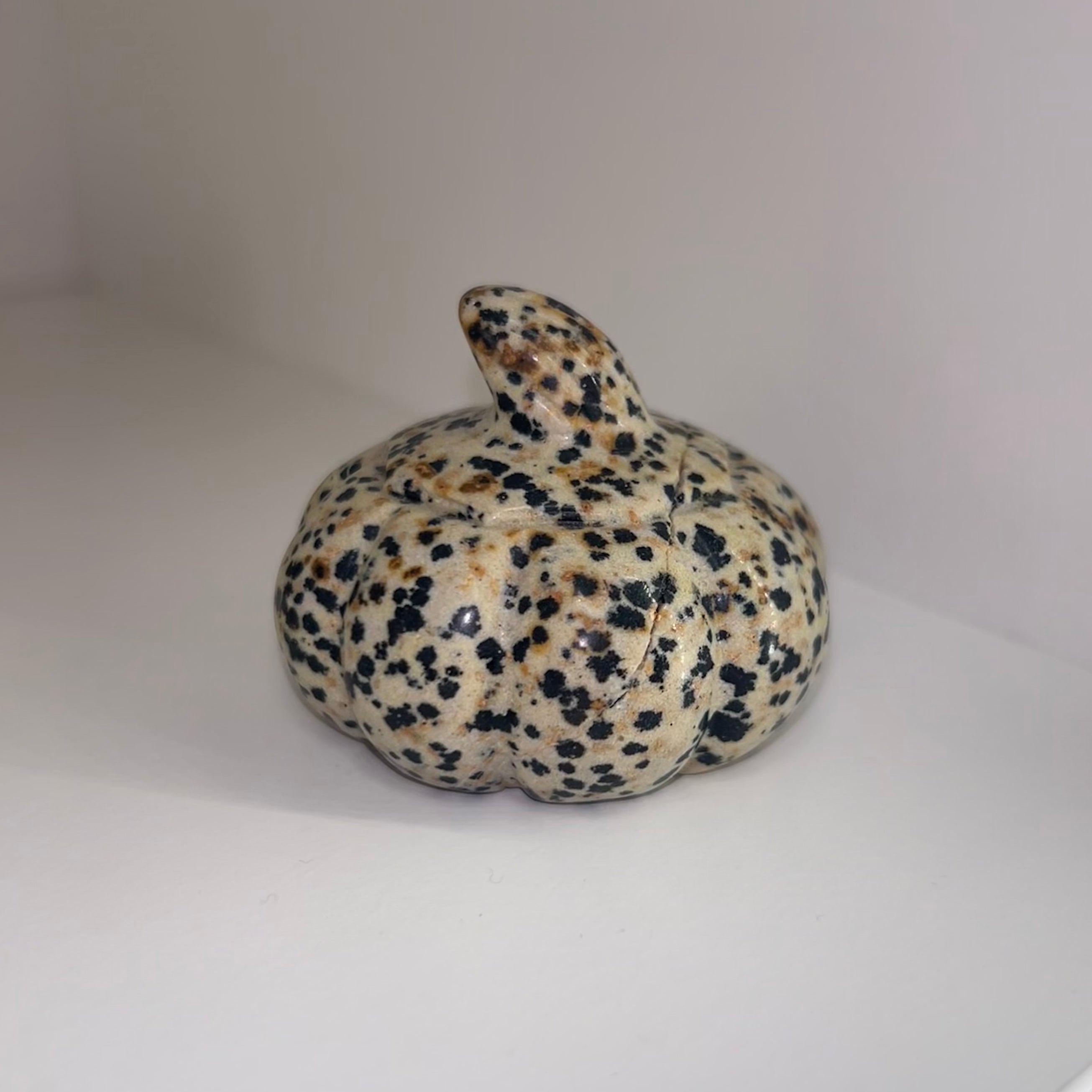 Dalmation Jasper Pumpkin
