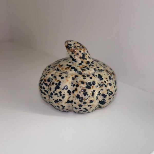 Dalmation Jasper Pumpkin