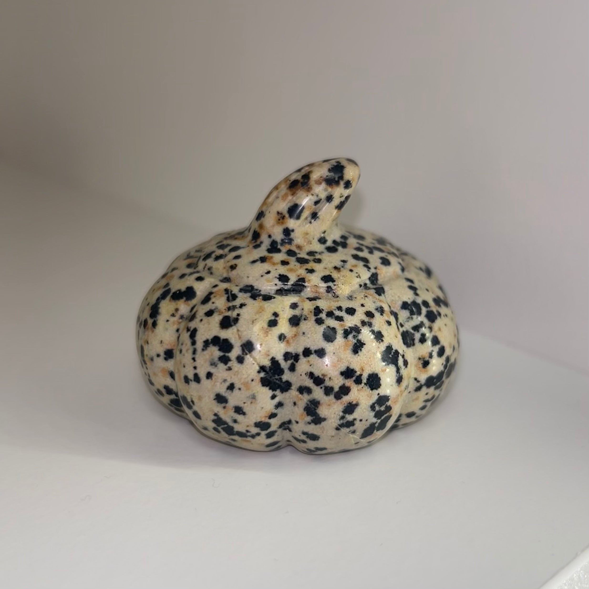 Dalmation Jasper Pumpkin