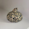 Dalmation Jasper Pumpkin