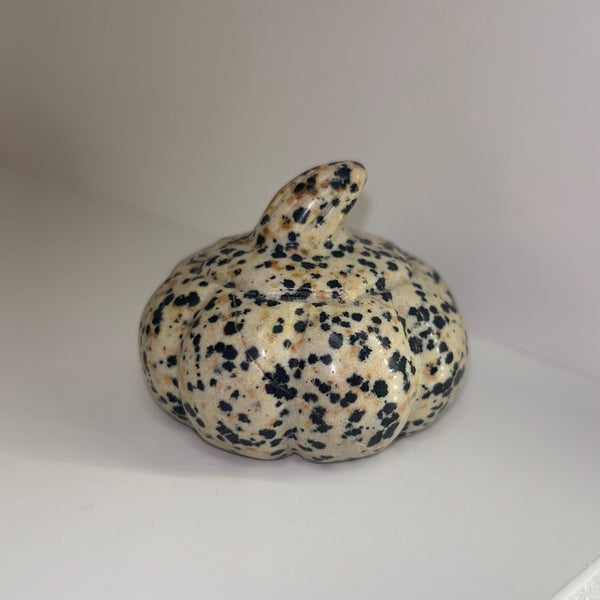 Dalmation Jasper Pumpkin