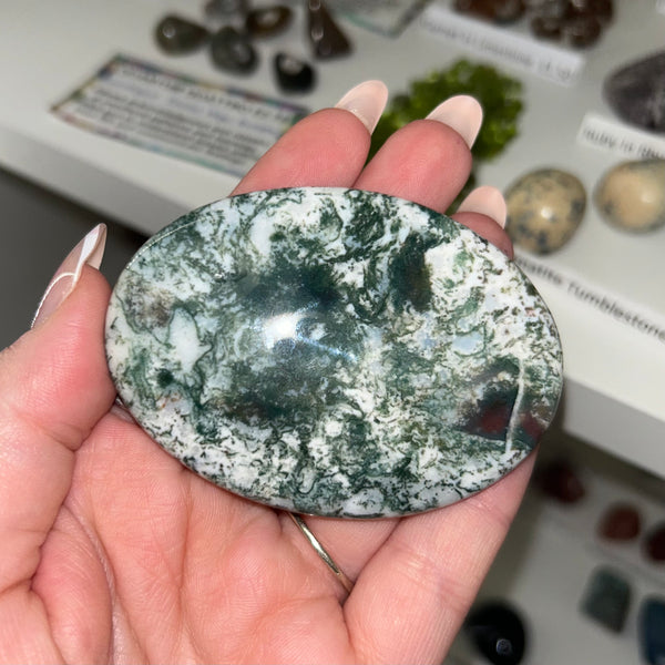 Tree Agate Palmstone