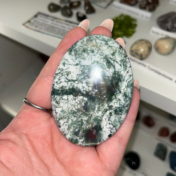 Tree Agate Palmstone