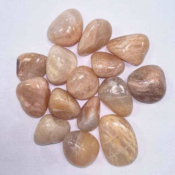 Peach Aventurine TS