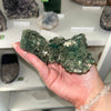 Marshy Green Apophyllite