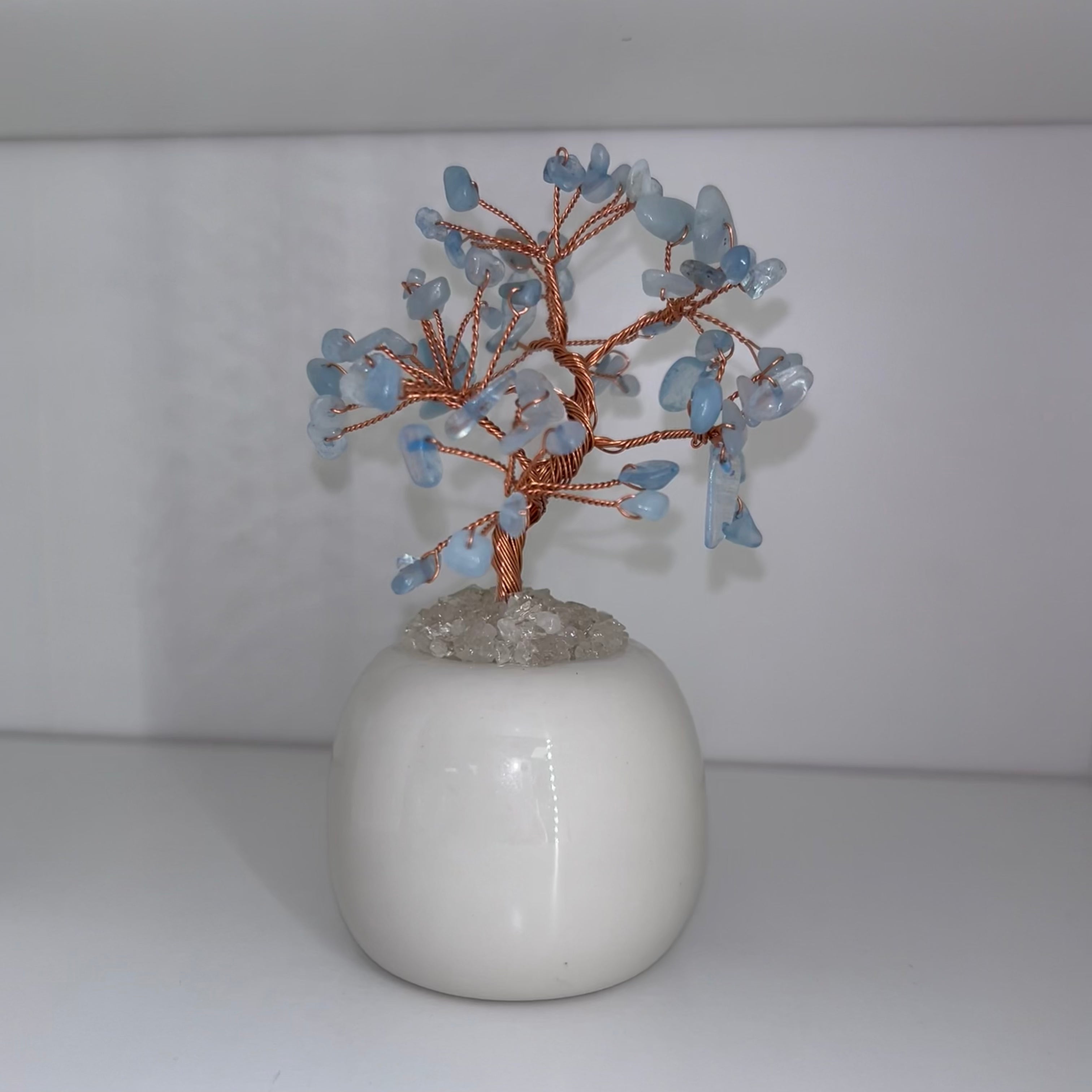 Aquamarine Chip Tree In Pot