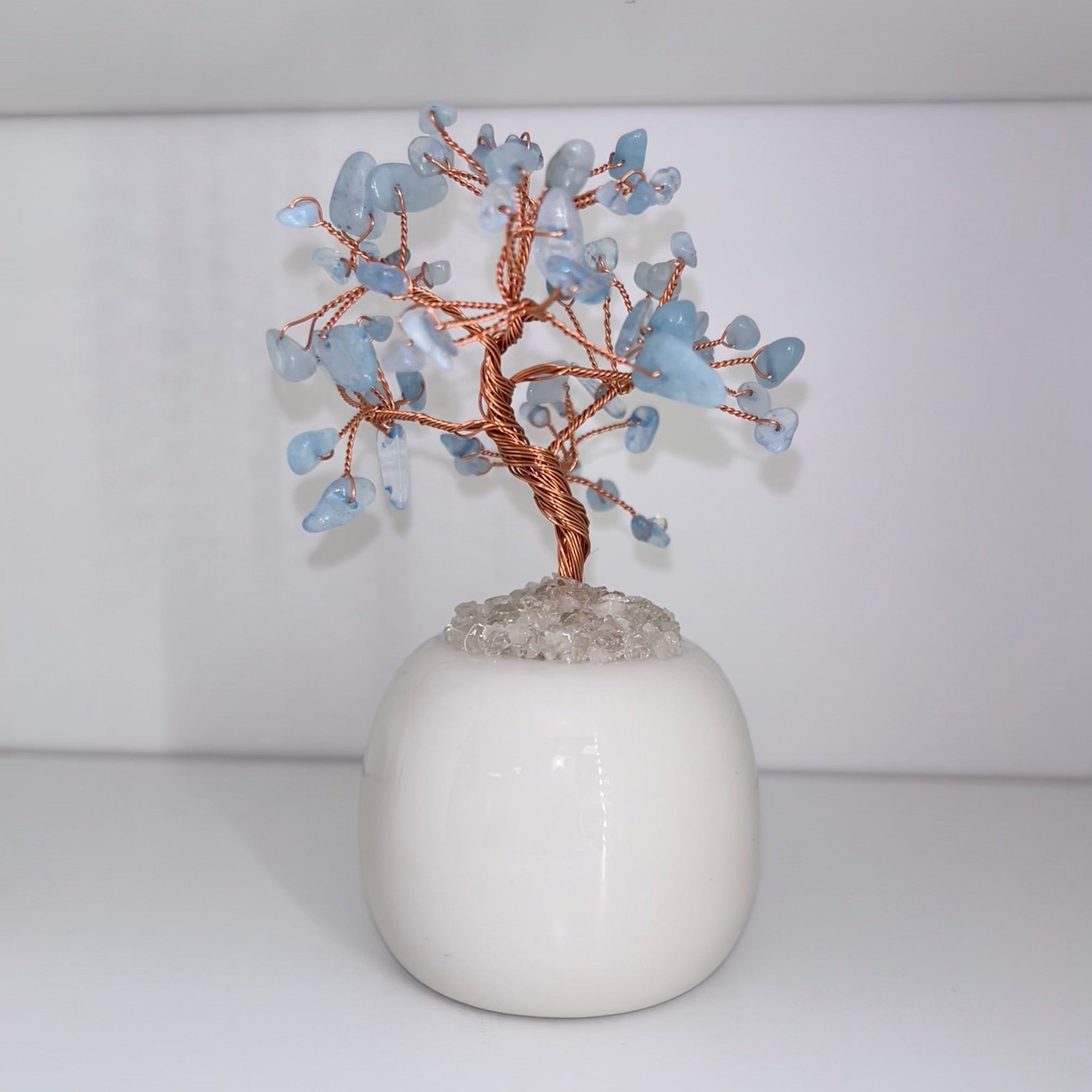 Aquamarine Chip Tree In Pot