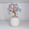 Aquamarine Chip Tree In Pot