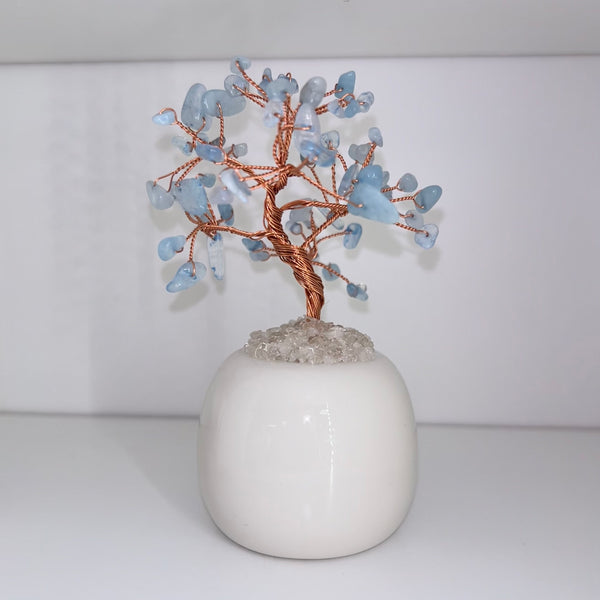 Aquamarine Chip Tree In Pot