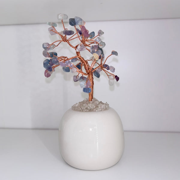 Fluorite Chip Tree in Pot