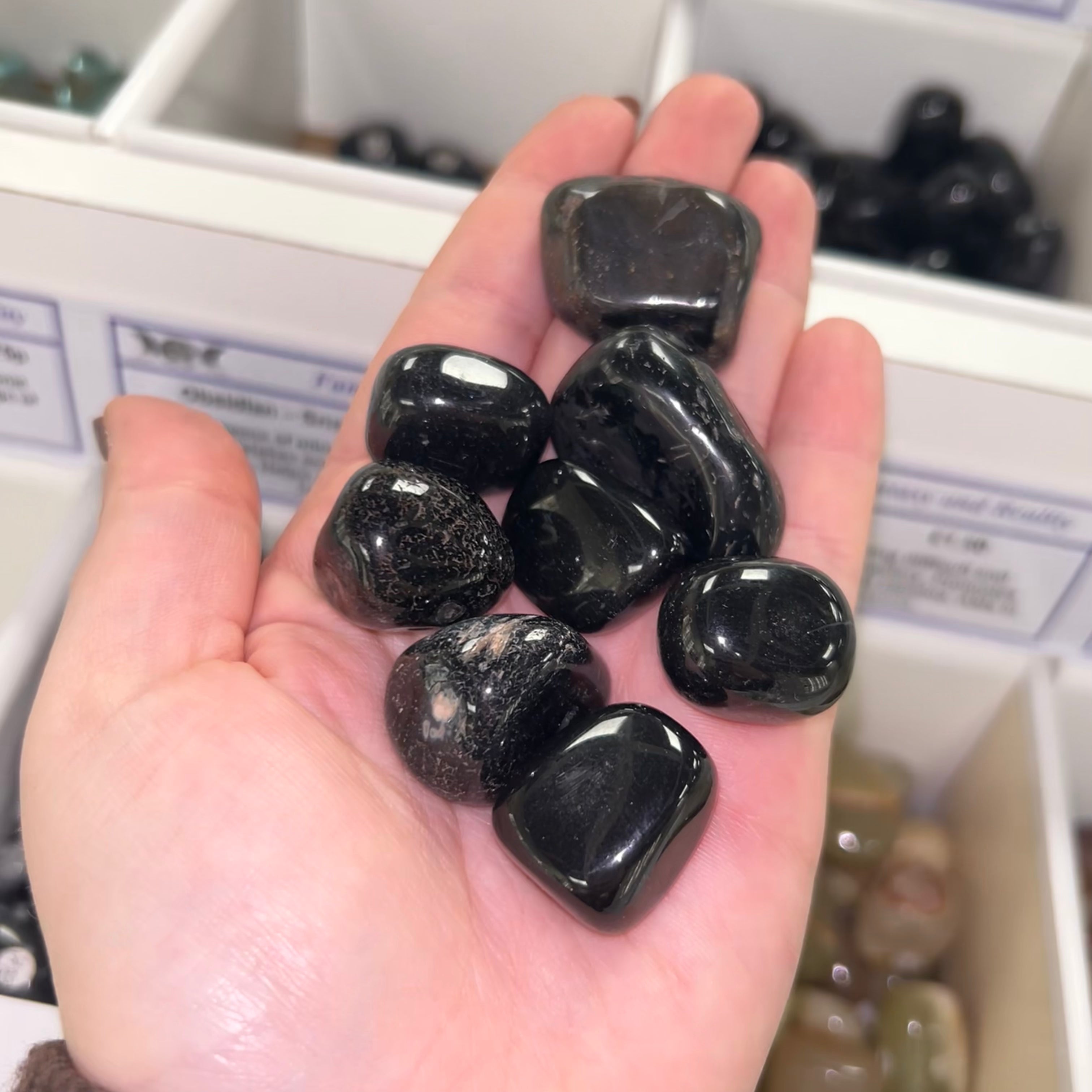 Black Onyx Large Ts