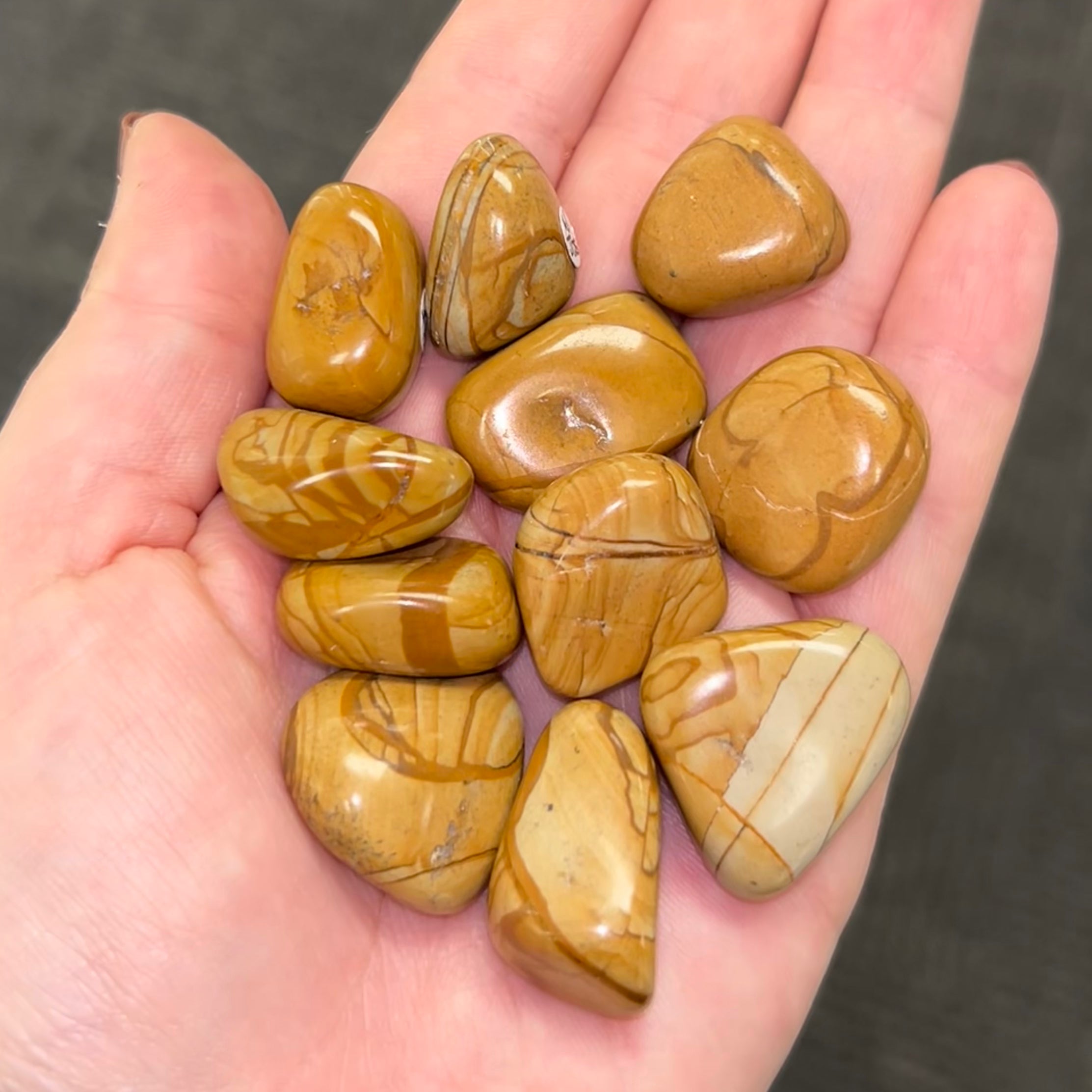 Walnut Jasper TS