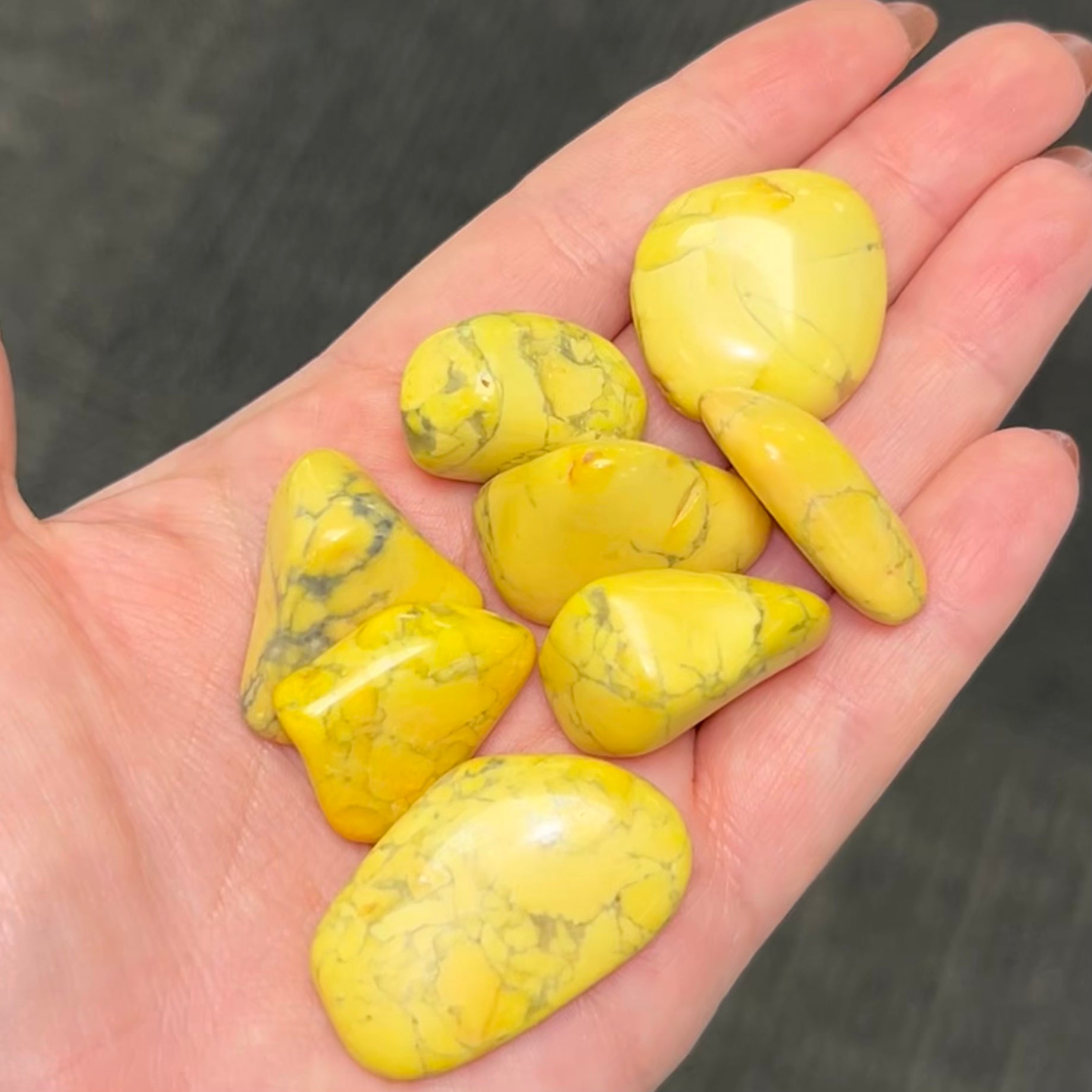 Yellow Howlite TS