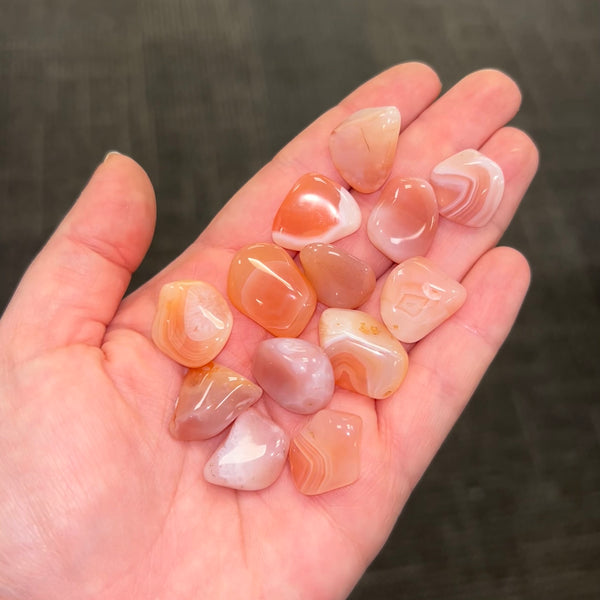 Apricot Agate TS