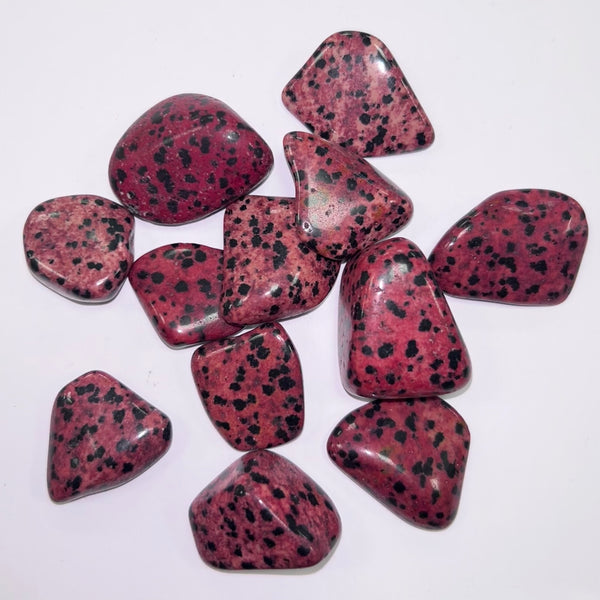 Jasper Red Dalmation TS