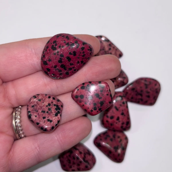Jasper Red Dalmation TS