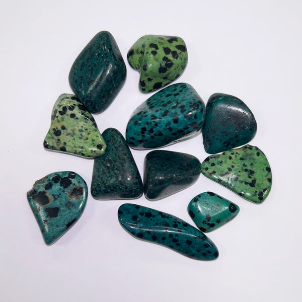 Jasper Green Dalmation TS