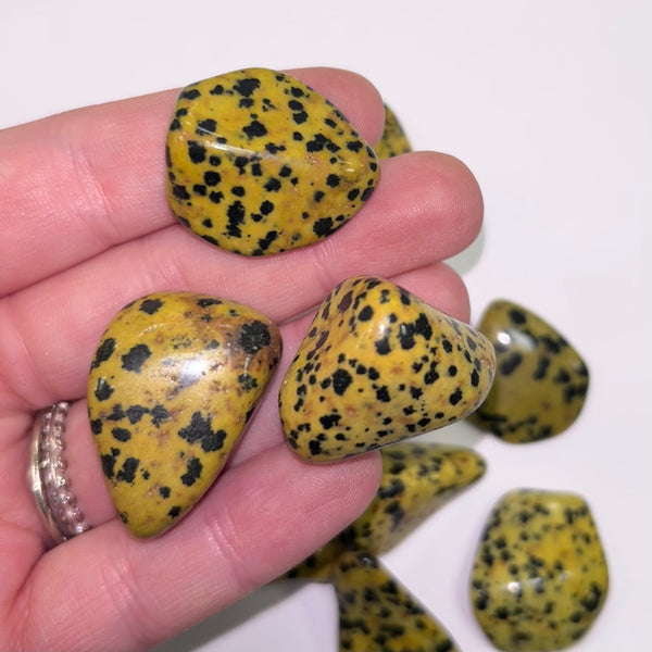 Jasper Yellow Dalmation TS