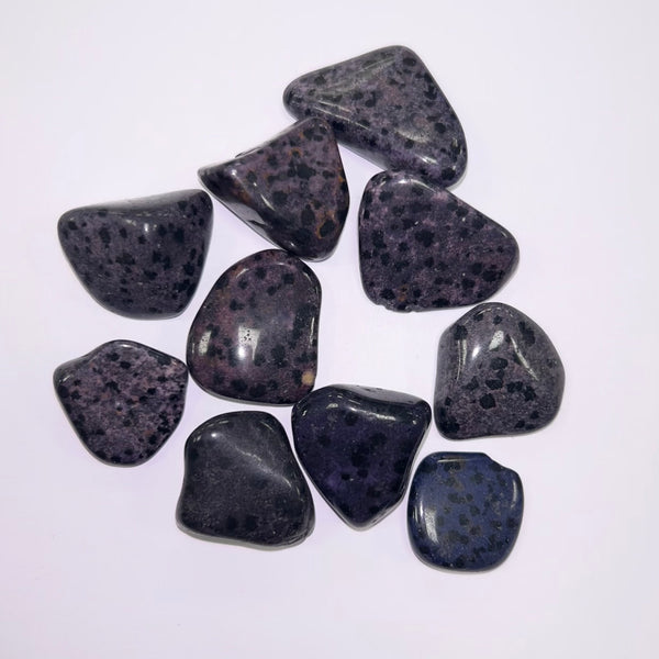 Jasper Purple Dalmation TS