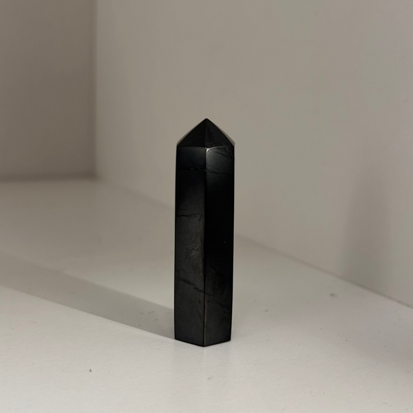 Shungite Point