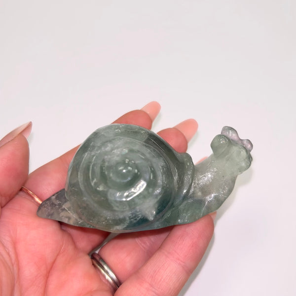 Green Fluorite Snail