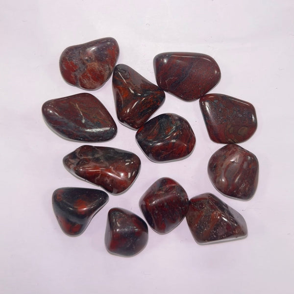 Mary Ellen Stromatolite TS