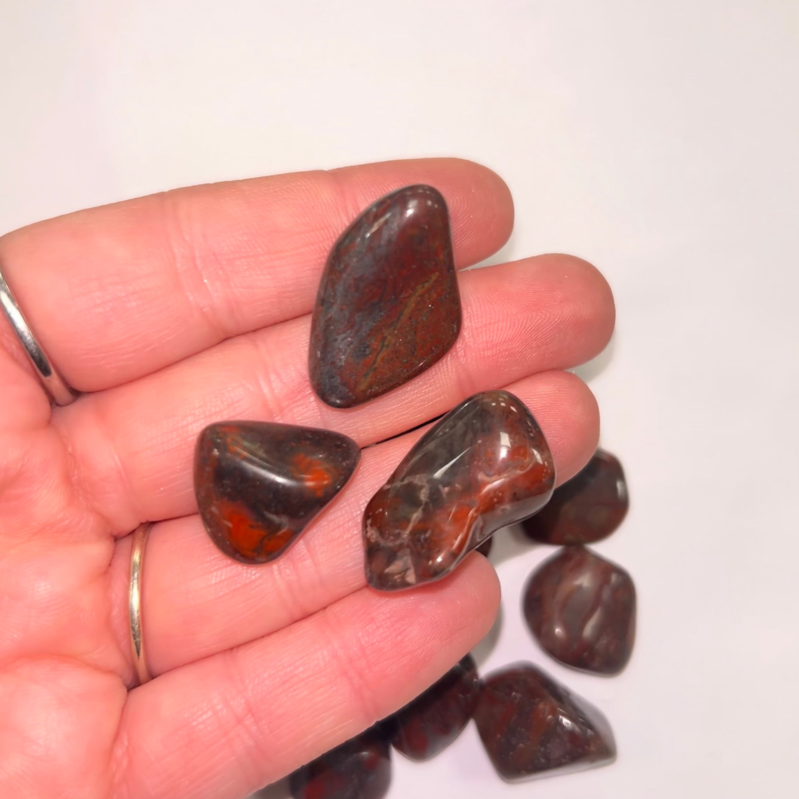 Mary Ellen Stromatolite TS