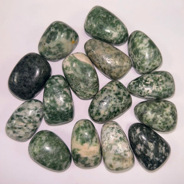 Jade Snake Dragon TS