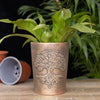 Tree of Life Terracotta Plant Pot