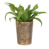 Tree of Life Terracotta Plant Pot