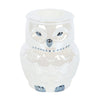 Night Flight Ceramic Owl Oil Burner