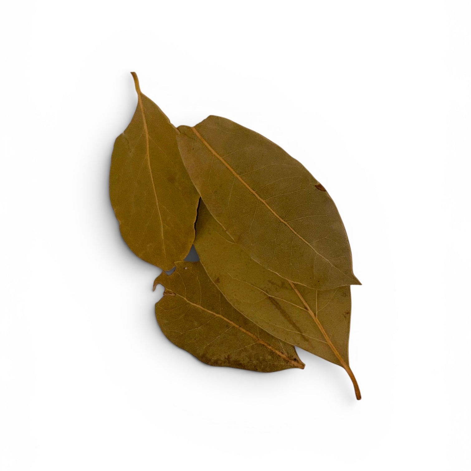 Bay Leaves (approx 5g)