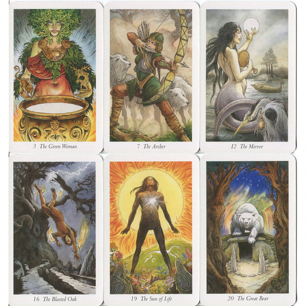 Wildwood Tarot & Book Set