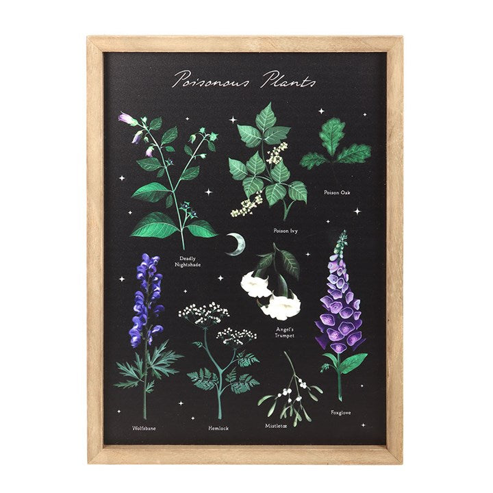 Poisonous Plants Wall Art
