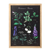 Poisonous Plants Wall Art