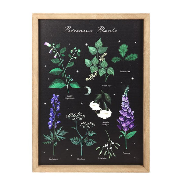 Poisonous Plants Wall Art