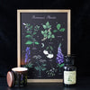 Poisonous Plants Wall Art