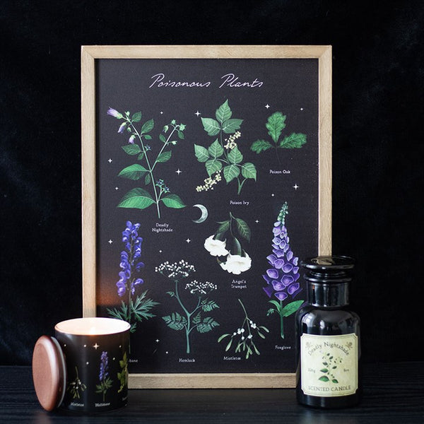Poisonous Plants Wall Art