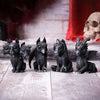 Diabarkus