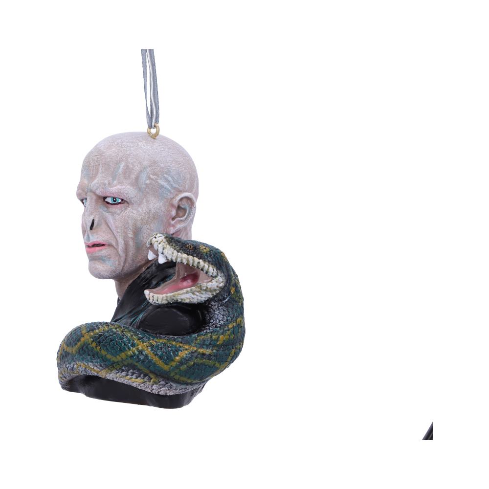 Harry Potter Lord Voldemort Hanging Dec