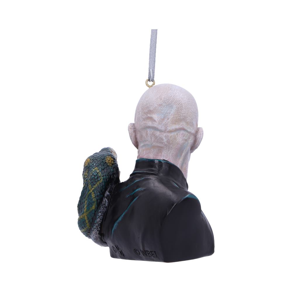 Harry Potter Lord Voldemort Hanging Dec
