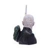Harry Potter Lord Voldemort Hanging Dec