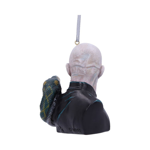 Harry Potter Lord Voldemort Hanging Dec