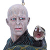 Harry Potter Lord Voldemort Hanging Dec