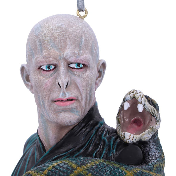 Harry Potter Lord Voldemort Hanging Dec