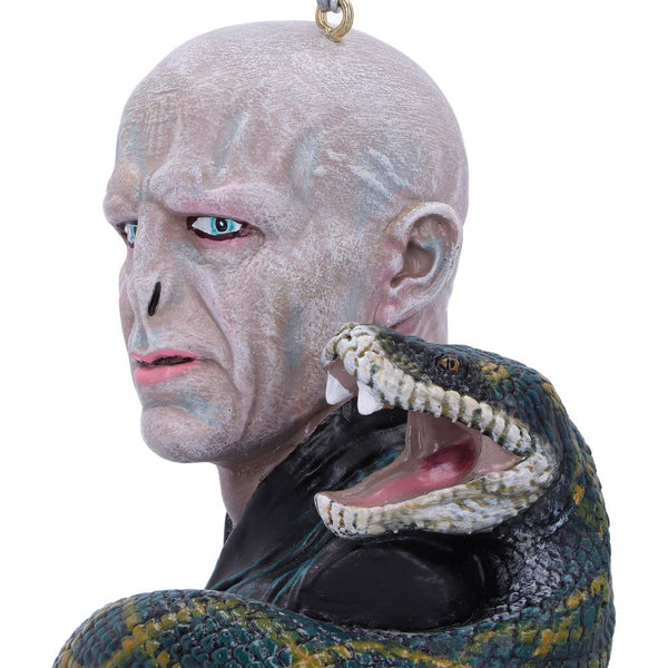 Harry Potter Lord Voldemort Hanging Dec