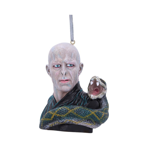 Harry Potter Lord Voldemort Hanging Dec